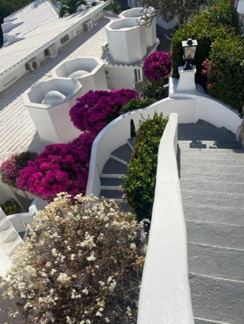 Spectacular Hadas Sunset And Ocean View Manzanillo Exterior photo